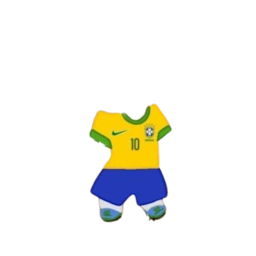 Outfit brazil.png